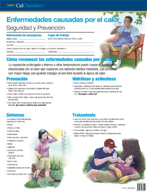 Heat Illness Safety and Prevention Poster (English)